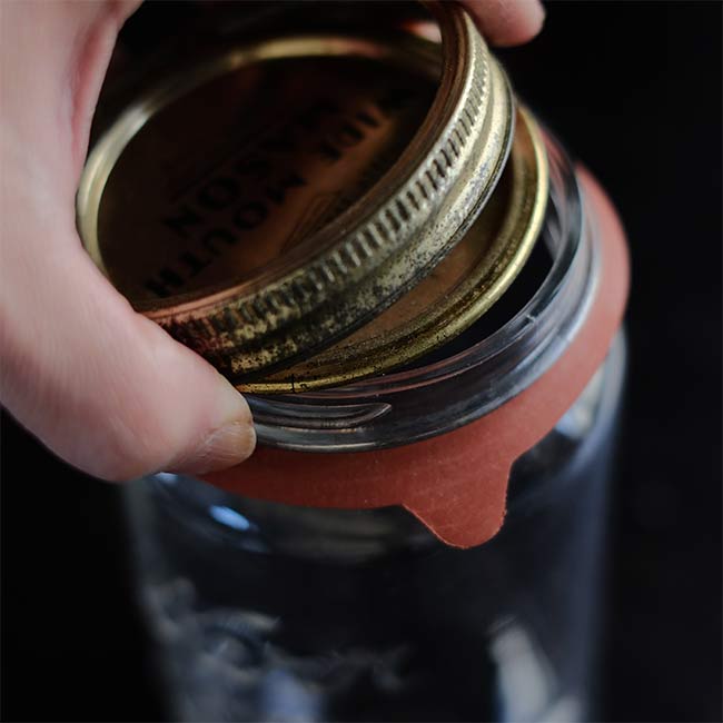 BallJar Rubbers (Boxed Set) Wide Mouth