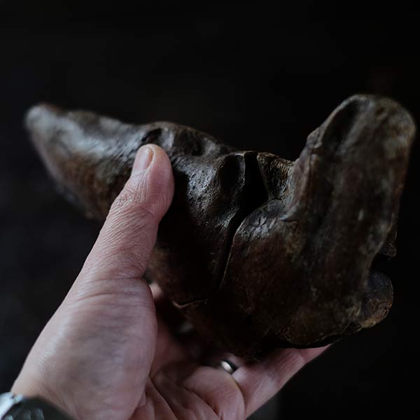Driftwood Object
