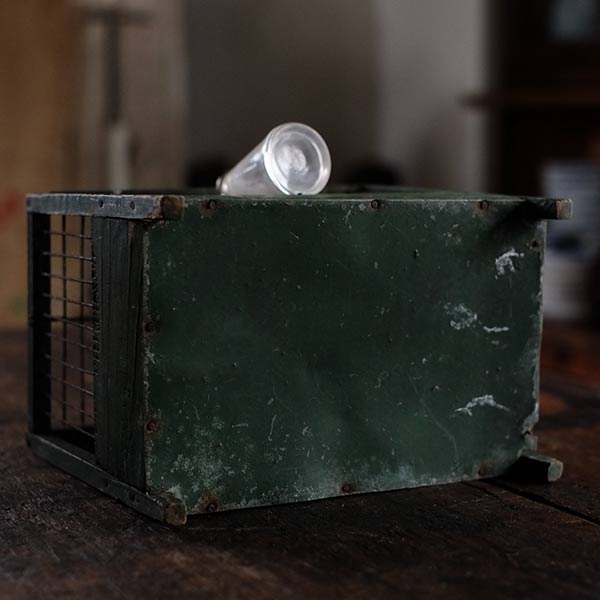 Old Belgian bird cage (3)