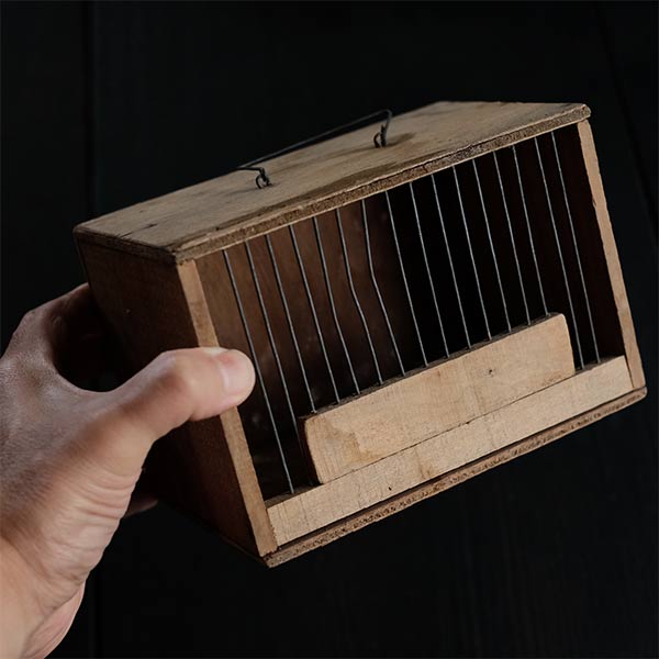 French birdcage