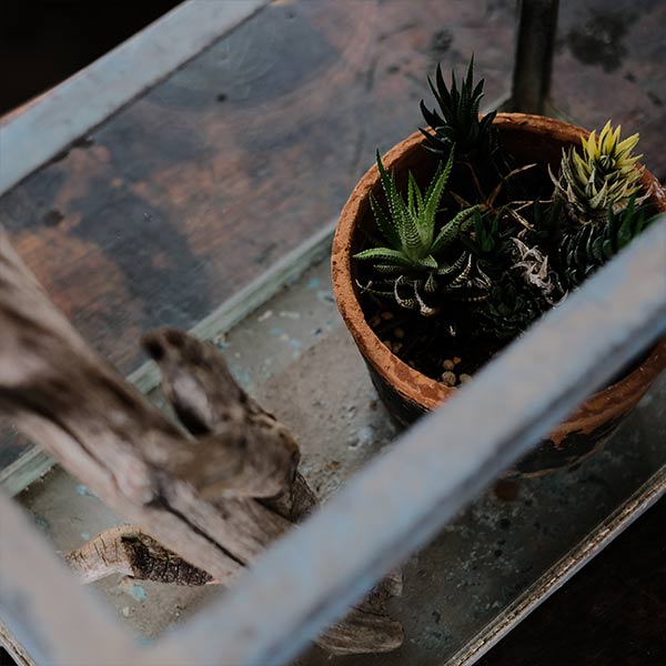 Rusty tin fish tank