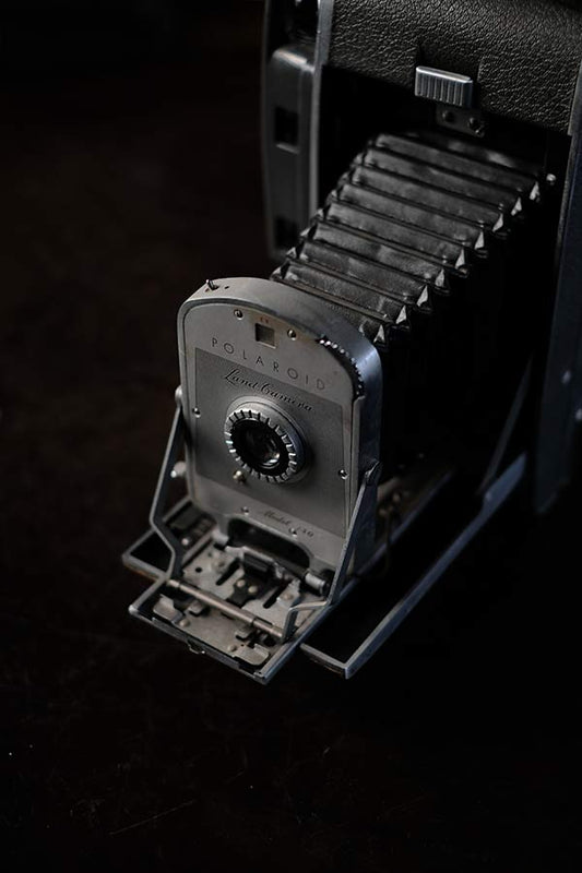 Polaroid Wista Ricoh