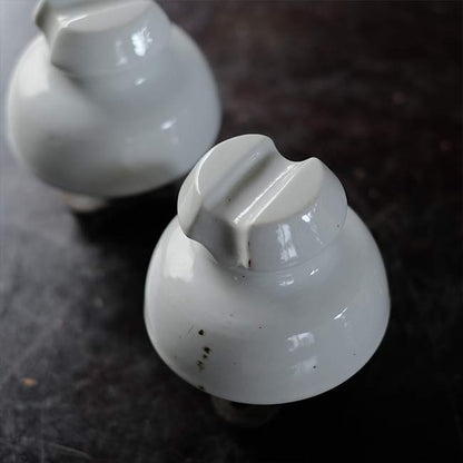 Insulator with legs