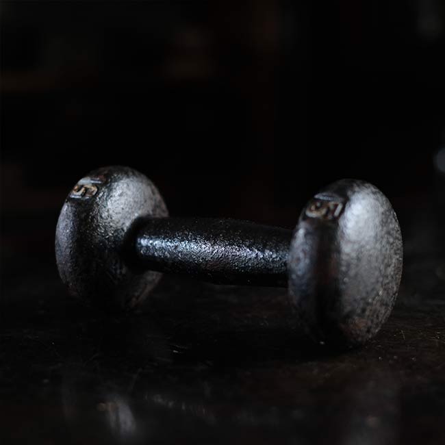 5 pound dumbbells