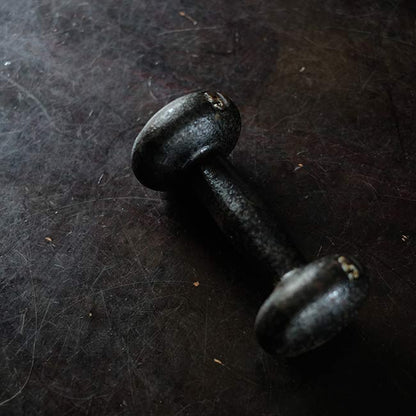 5 pound dumbbells
