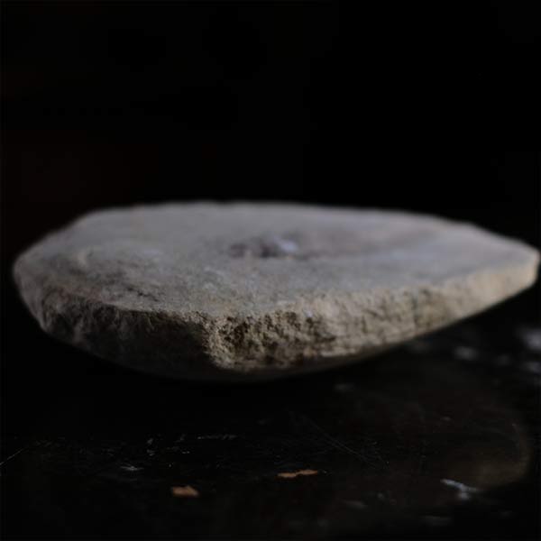 Fish fossils (pair)