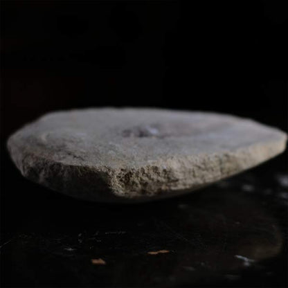 Fish fossils (pair)