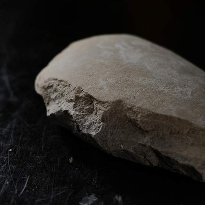 Fish fossils (pair)