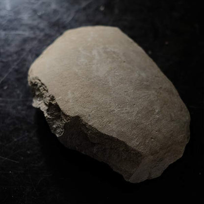 Fish fossils (pair)