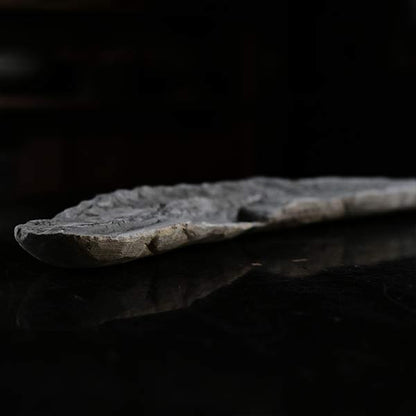 魚の化石（ペア）