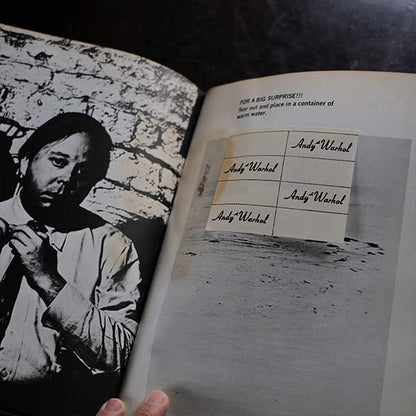 ANDY WARHOL'S INDEX (BOOK)