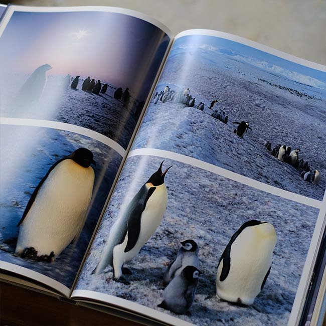 Yoshikazu Shirakawa's Works Collection: Antarctica, Volumes 1 and 2