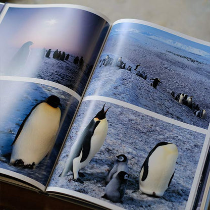 Yoshikazu Shirakawa's Works Collection: Antarctica, Volumes 1 and 2
