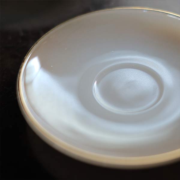 ARCOPAL cup and saucer