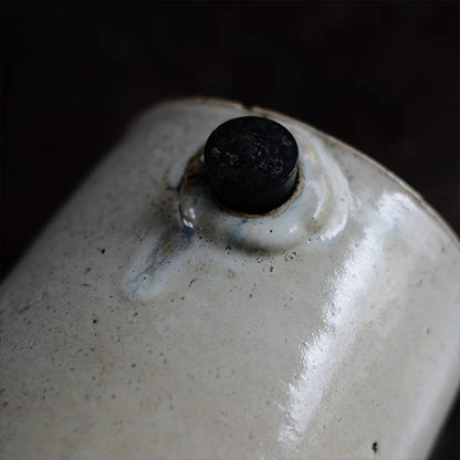 Ceramic hot water bottle