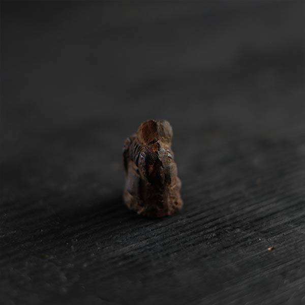 小さな恵比寿様