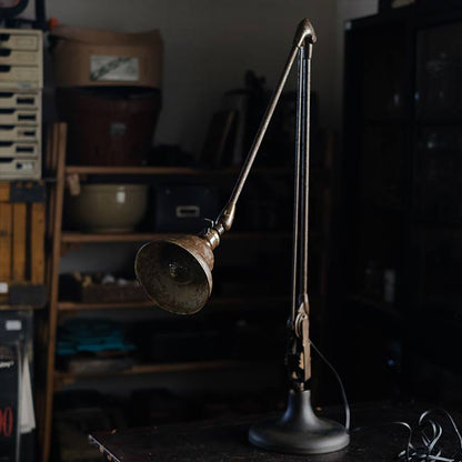 DAZOR Arm Lamp