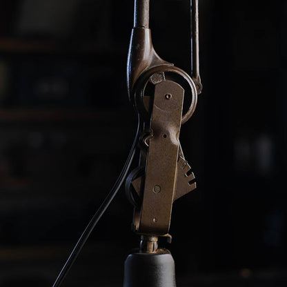DAZOR Arm Lamp