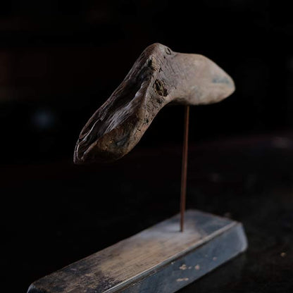 Driftwood Object