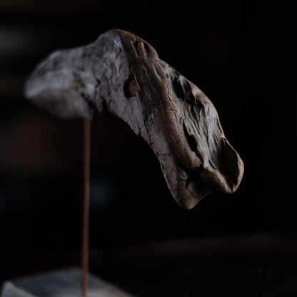 Driftwood Object