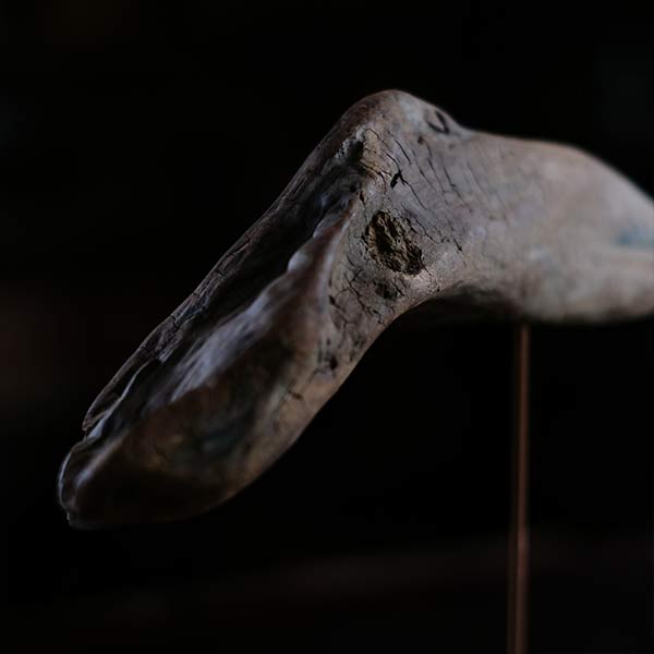 Driftwood Object