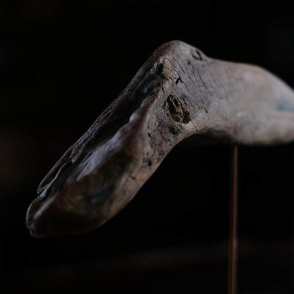 Driftwood Object