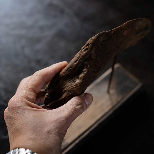Driftwood Object