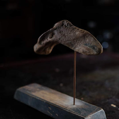 Driftwood Object