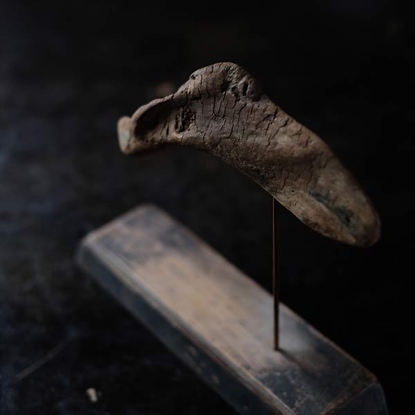 Driftwood Object