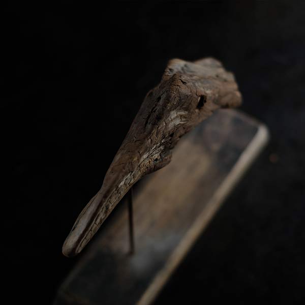 Driftwood Object
