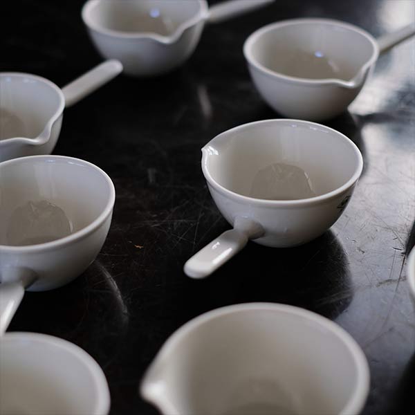 Evaporating dish with handle