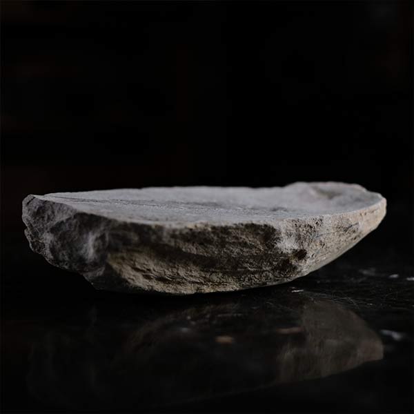Fish fossils (pair)