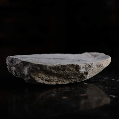 Fish fossils (pair)