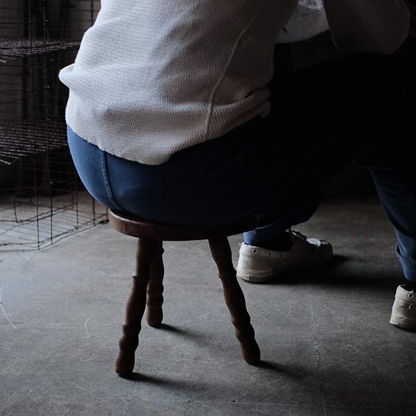 Milking Stool