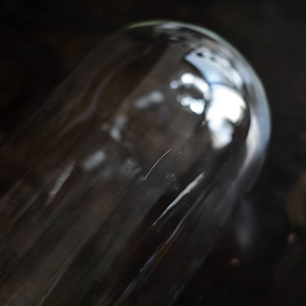 Glass dome