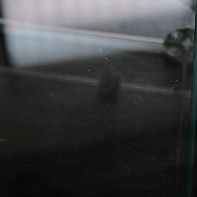 Glass showcase with lid