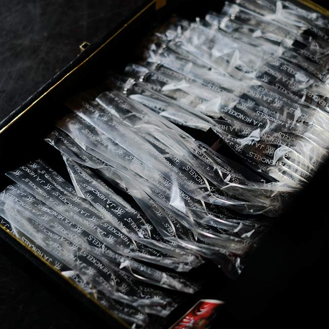 ZWILLING JAHENCKELS cutlery set