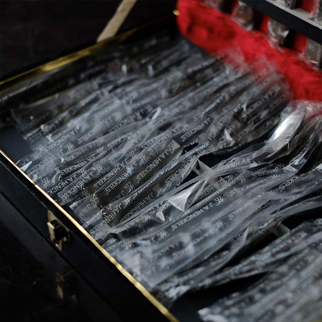 ZWILLING JAHENCKELS cutlery set