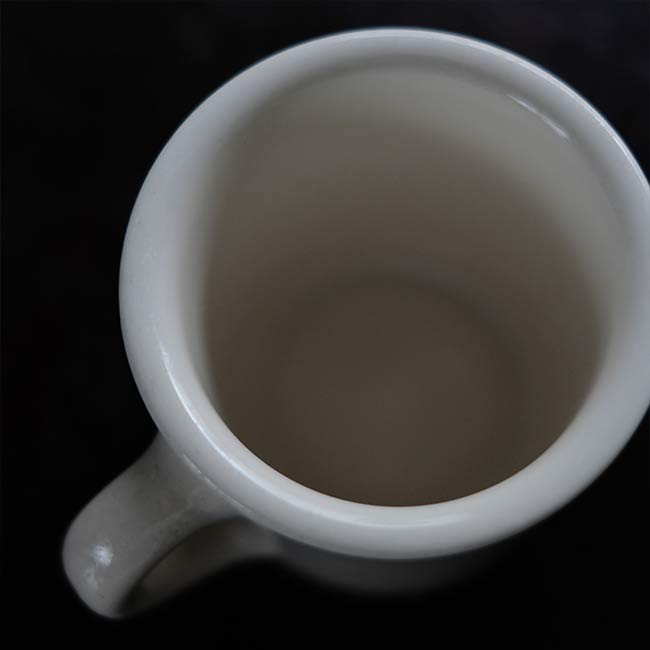 Homer Laughlin Mug