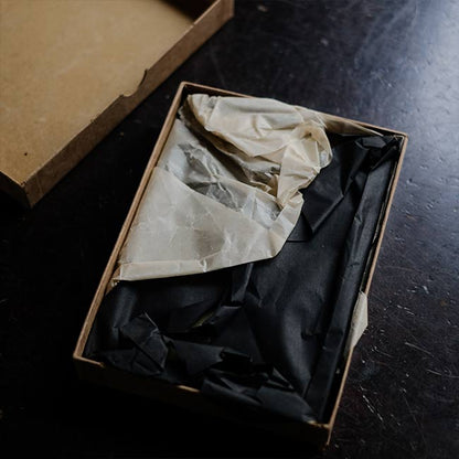 ILFORD SPECIAL RAPID PLATES ガラス乾板