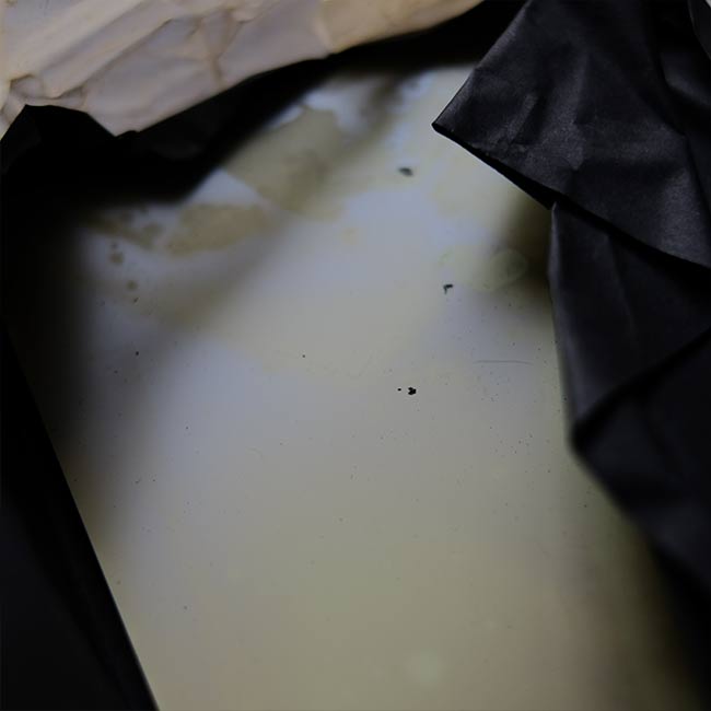 ILFORD SPECIAL RAPID PLATES ガラス乾板