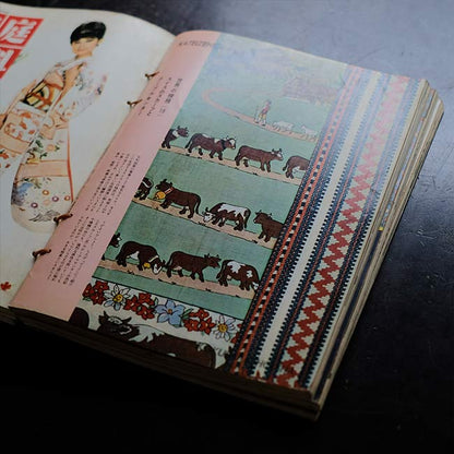 Home Economics 1961-1962 11-volume set