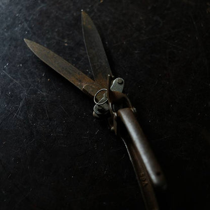 Lawn mowing scissors