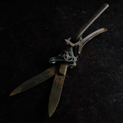 Lawn mowing scissors