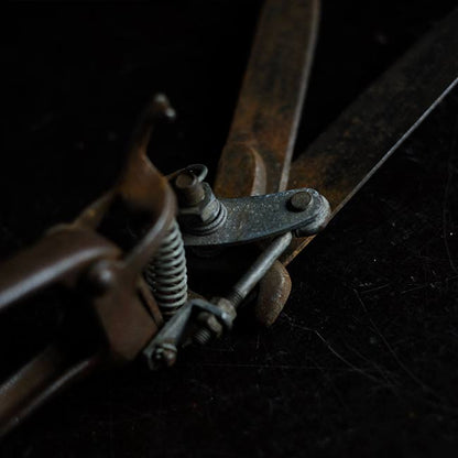 Lawn mowing scissors