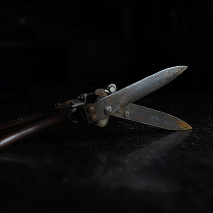 Lawn mowing scissors