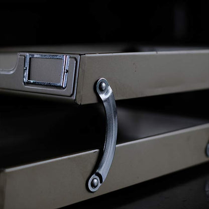 LION Extendable 2-Tier File Tray