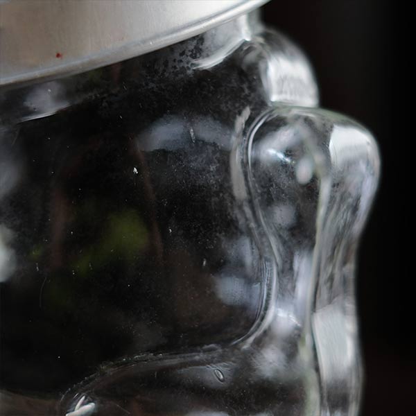 Maneki-neko glass bottle