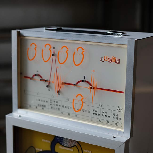 心電図付き心臓模型