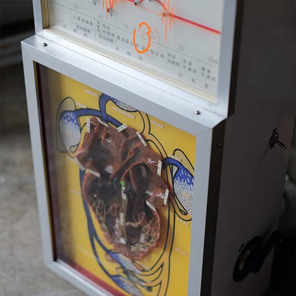 心電図付き心臓模型